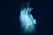 © master1305 - The photo as art - a sensual and emotional dance of beautiful ballerina through the veil on a dark background. A stroboscopic image of the one model