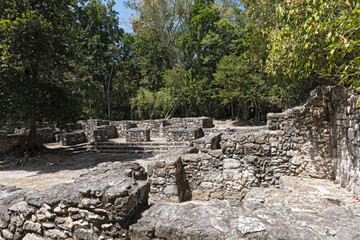 Wall Mural - The ruins of the ancient Mayan city of calakmul, campeche, Mexico