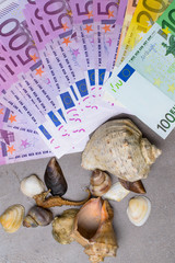 Seashells and seal with euro money / holiday money. Money for vacation