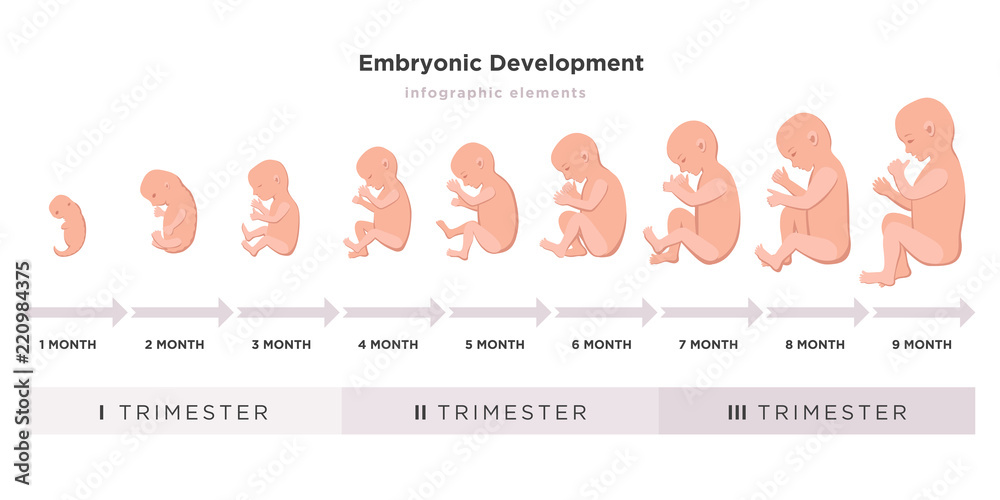 9 month baby cycle discount