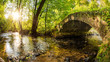 © Günter Albers - Old bridge over a creek in the forest with bright sun in the background