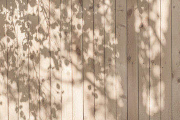 a shadow from the leaves on a beige board wall