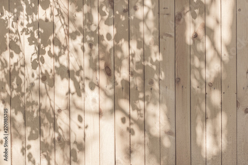 Fotomural a shadow from the leaves on a beige board wall
