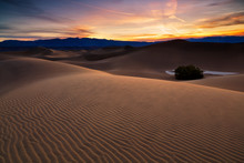 Desert In Mesquite Flat, Death Valley National Park, USA.