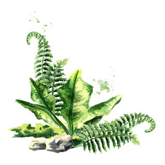 Wall Mural - Prehistoric plants composition. Watercolor hand drawn illustration, isolated  on white background