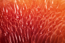 Grapefruit Slice Background. Abstract Macro Shoot.
