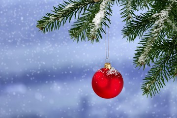 Sticker - Red bauble on green christmas fir tree on  background