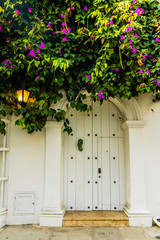 Wall Mural - A typical view in Cartagena in Colombia.