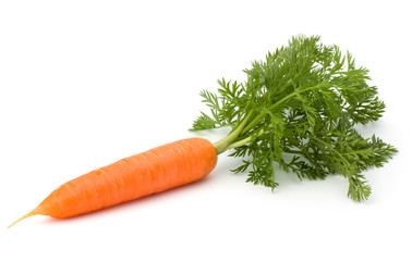 Wall Mural - Carrot vegetable with leaves isolated on white background cutout