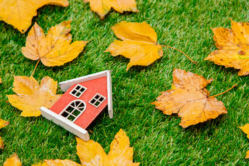 Wall Mural - Golden autumn maple leaves and little wooden house on green grass. Above view