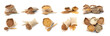 Set with different cereal grains on white background