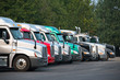 Different Big rig semi trucks tractors stand in row on parking lot with green trees
