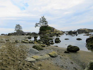 Crazy hike along the beautiful misty coasts and forest of Vancouver Island doing the rugged West Coast Trail.  Many bridges and ladders and other fun obstacles