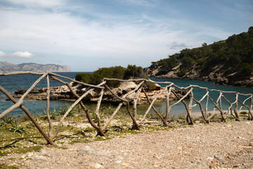 Wall Mural - View of rocky coastline