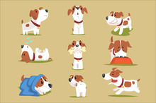 Funny Puppy Daily Routine Set, Cute Little Dog In His Evereday Activity Colorful Character