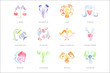 Zodiac Signs set of hand drawn watercolor vector Illustrations