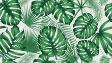 Trendy Seamless Tropical Pattern With Exotic Leaves And Plants Jungle