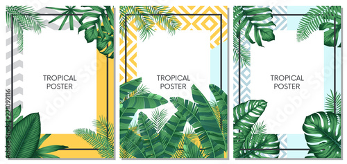 Fotomural Summer tropical vector set design for cards, poster or flyer with exotic palm le