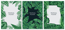 Vector Design Cards And Banners With Exotic Leaves, Tropical Printable Set