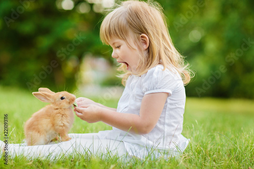 Fototapeta Girl is feeding a cute little rabbit, outdoor, summer day