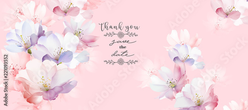 Elegant rose flower
