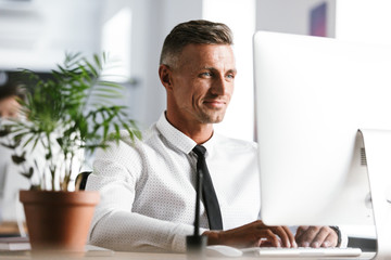 Fototapete - Image of handsome businessman 30s wearing white shirt and tie sitting at desk in office, and working at computer