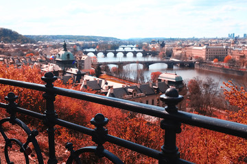 Wall Mural - landscape yellow autumn prague / panoramic view of the red roofs of Prague, the czech Indian summer landscape with yellow trees