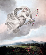 Illustration Of Angel
