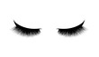 Eyelash extension. Beautiful black long eyelashes. Closed eye . False beauty cilia. Mascara natural effect. Professional glamor makeup.