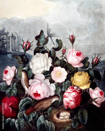 Obrazy na ścianę  ilustracja-kwiatu