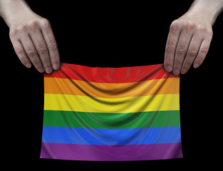 Poster - LGBT Flag in hands