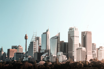 Sydney Skyline