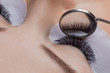 © Parilov - Woman eye with beauty lashes. Eyelash extension procedure.