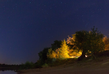 Wall Mural - night landscape river and forest