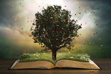 Tree With Grass On An Open Book