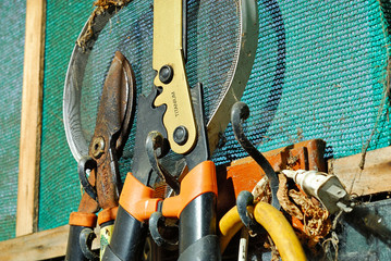 Gardening tools hanging on the wall of a greenhouse.