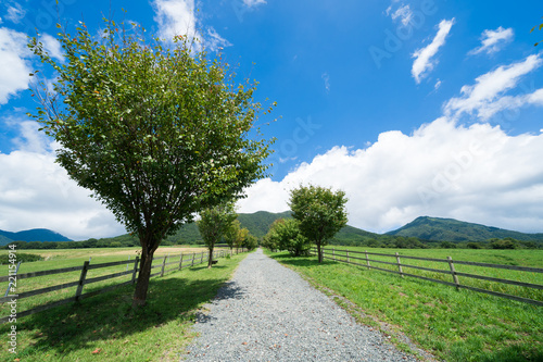 蒜山高原 牧場の道 岡山県真庭市蒜山地域 Buy This Stock Photo And Explore Similar Images At Adobe Stock Adobe Stock