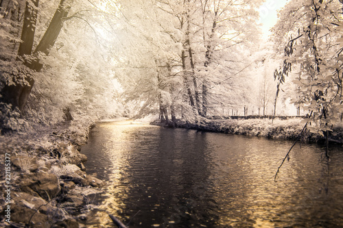 zimny-krajobraz-zimowy-w-riverside
