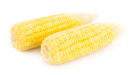 Fresh corn isolated on white background