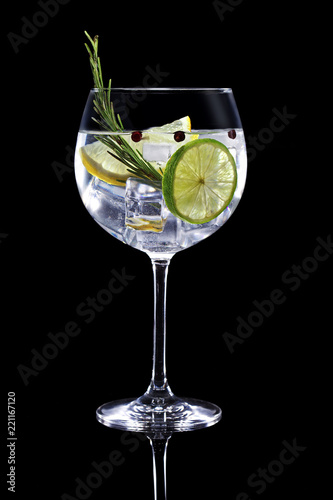 gin tonic garnished with citrus fruit and rosemary isolated on black background Poster Mural XXL