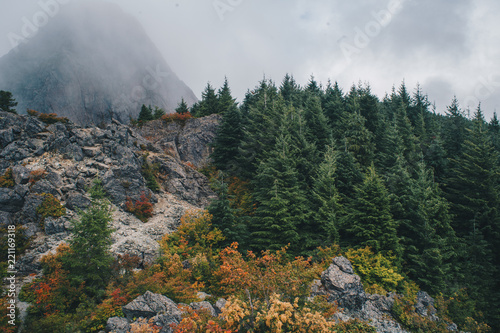 Foggy Pacific Northwest Landscape This Stock Photo And Explore