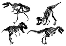 Graphical Set Of Dinosaur Skeletons Isolated On White Background,vector Sketch