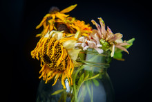Wilted Flowers Mason Jar