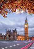 Fototapeta Big Ben - Buses with autumn leaves against Big Ben in London, England, UK