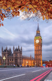 Fototapeta Big Ben - Buses with autumn leaves against Big Ben in London, England, UK