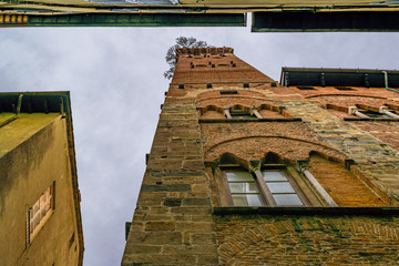 Wall Mural - Torre Guinici Exterior, Lucca, Italy