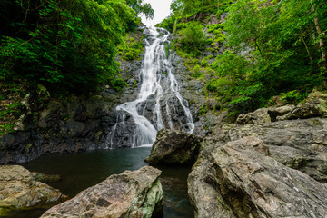  tropical nature in sarika waterfall at nakhon nayok, Thailand