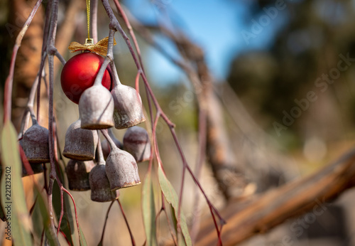 An Australian Christmas, gum tree and gum nuts with a red Christmas bauble, horizontal