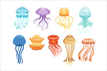 Colorful Jellyfish Set, Swimming Marine Creatures Watercolor Vector Illustrations