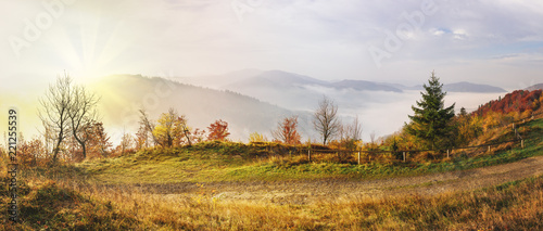 Plakaty Bieszczady  mglisty-jesienny-wschod-slonca-w-gorach-wzgorz-pokrytych-lasem-bukowym